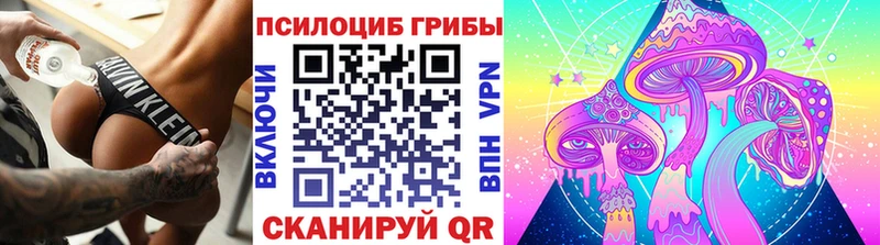 Купить закладки  Окуловка  Псилоцибиновые грибы Psilocybe 